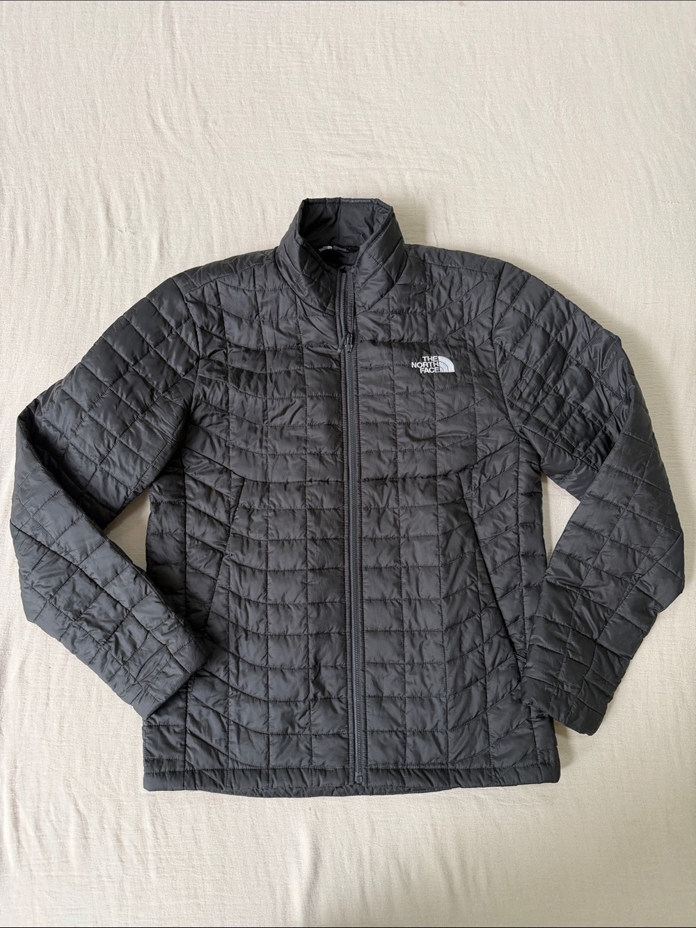The North Face Men's Black Quilted Puffer Jacket